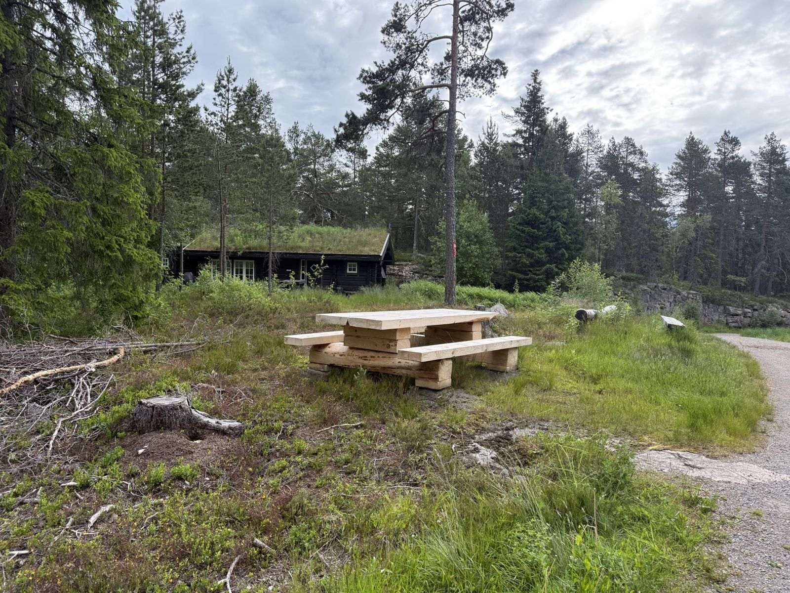 Benken på Furumotomta, sett fra stien